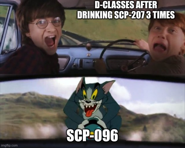 tom and harry potter | D-CLASSES AFTER DRINKING SCP-207 3 TIMES; SCP-096 | image tagged in tom and harry potter | made w/ Imgflip meme maker