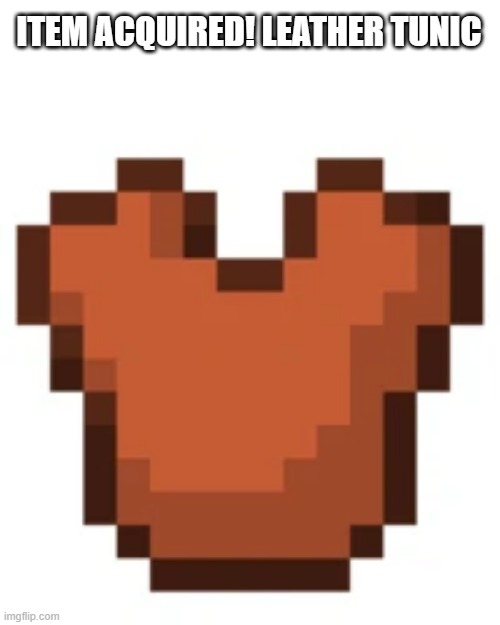 ITEM ACQUIRED! LEATHER TUNIC | made w/ Imgflip meme maker