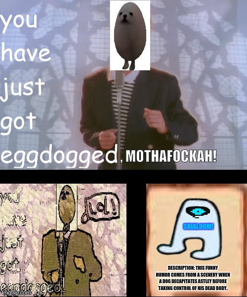 Eggdogged | , MOTHAFOCKAH! SHIALOOM! DESCRIPTION: THIS FUNNY HUMOR COMES FROM A SCENERY WHEN A DOG DECAPITATES ASTLEY BEFORE TAKING CONTROL OF HIS DEAD BODY. | image tagged in memes,never gonna give you up,egg | made w/ Imgflip meme maker
