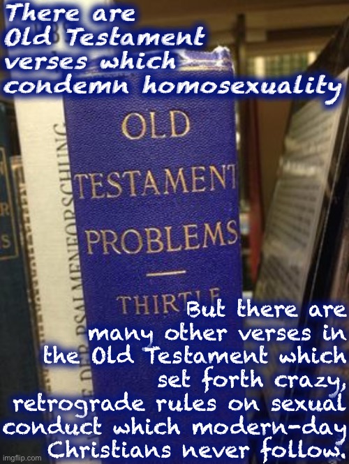 Example: Deuteronomy 25:5 provides that when a man dies, his surviving brother shall take his widow as his own wife. Ewww! | There are Old Testament verses which condemn homosexuality; But there are many other verses in the Old Testament which set forth crazy, retrograde rules on sexual conduct which modern-day Christians never follow. | image tagged in old testament problems | made w/ Imgflip meme maker