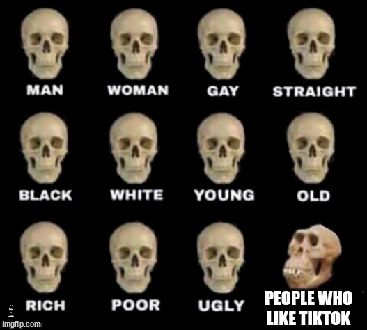 idiot skull | PEOPLE WHO LIKE TIKTOK; CONGRATS TO WHO_AM_I FOR BEING TOP USER! | image tagged in idiot skull | made w/ Imgflip meme maker