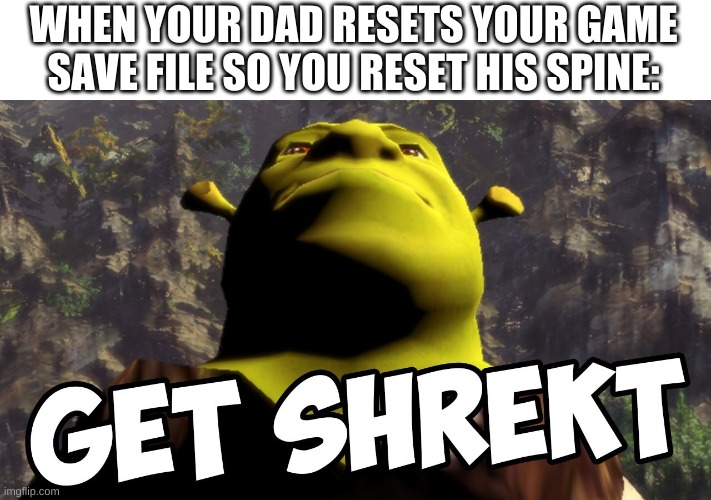 lmao | WHEN YOUR DAD RESETS YOUR GAME SAVE FILE SO YOU RESET HIS SPINE: | image tagged in memes,shrek | made w/ Imgflip meme maker