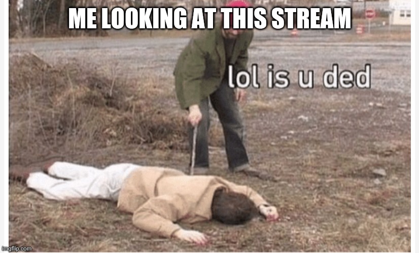 Is u? | ME LOOKING AT THIS STREAM | image tagged in lol is u ded | made w/ Imgflip meme maker