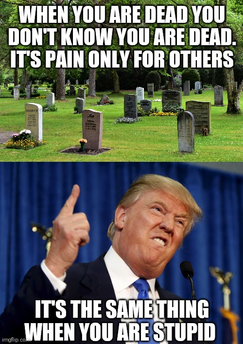 WHEN YOU ARE DEAD YOU DON'T KNOW YOU ARE DEAD. IT'S PAIN ONLY FOR OTHERS; IT'S THE SAME THING WHEN YOU ARE STUPID | image tagged in cemetery,trump stupid | made w/ Imgflip meme maker