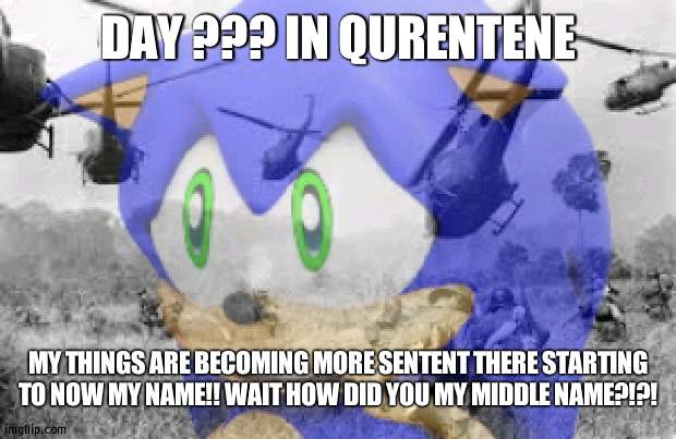 Sonic veitnam war | DAY ??? IN QURENTENE; MY THINGS ARE BECOMING MORE SENTENT THERE STARTING TO NOW MY NAME!! WAIT HOW DID YOU MY MIDDLE NAME?!?! | image tagged in sonic veitnam war,memes | made w/ Imgflip meme maker
