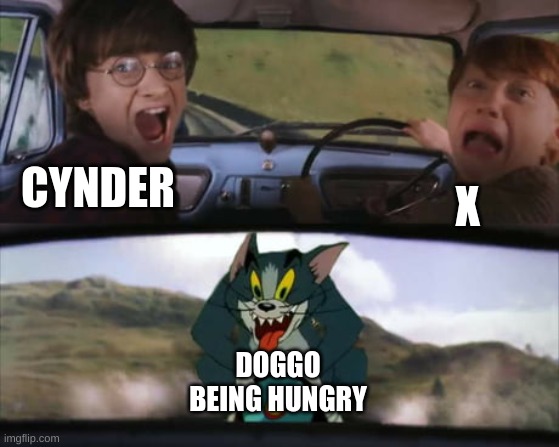 there he goes on another hunger tantrum | CYNDER; X; DOGGO BEING HUNGRY | image tagged in harry potter train | made w/ Imgflip meme maker