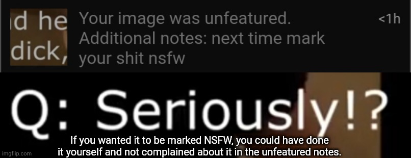If you wanted it to be marked NSFW, you could have done it yourself and not complained about it in the unfeatured notes. | made w/ Imgflip meme maker