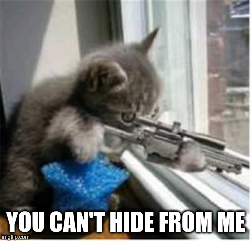 cats with guns | YOU CAN'T HIDE FROM ME | image tagged in cats with guns | made w/ Imgflip meme maker