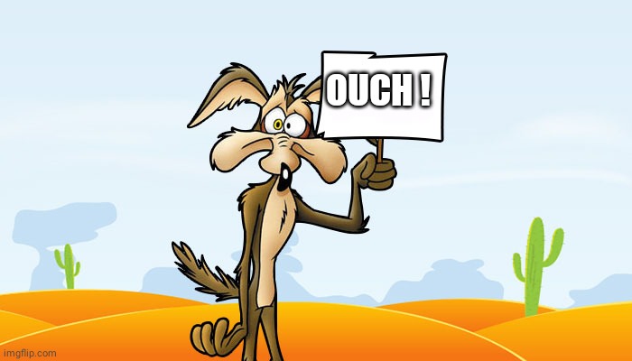 Wile E. Coyote Sign | OUCH ! | image tagged in wile e coyote sign | made w/ Imgflip meme maker