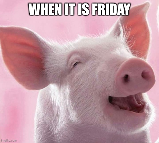 When it is friday | WHEN IT IS FRIDAY | image tagged in smiling pig | made w/ Imgflip meme maker