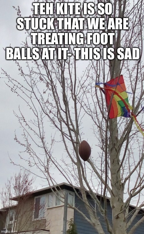 Also HAIIII I snuck on- it’s not really sneaking since I can be on cause my parents aren’t in sight and I’m outside | TEH KITE IS SO STUCK THAT WE ARE TREATING FOOT BALLS AT IT- THIS IS SAD | made w/ Imgflip meme maker