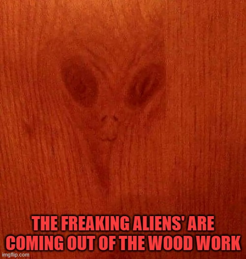 THE FREAKING ALIENS' ARE COMING OUT OF THE WOOD WORK | made w/ Imgflip meme maker