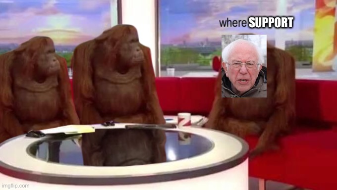Bernie sanders | SUPPORT | image tagged in where banana,bernie sanders,memes,fun | made w/ Imgflip meme maker