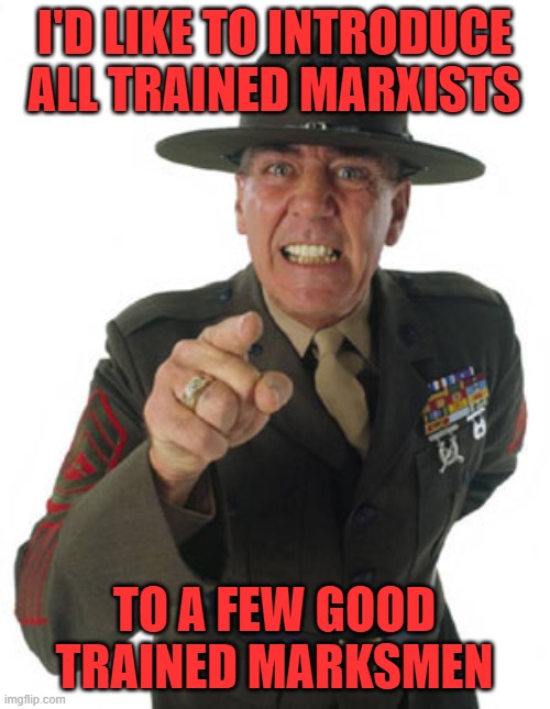 Gunny R. Lee Ermey | I'D LIKE TO INTRODUCE ALL TRAINED MARXISTS TO A FEW GOOD TRAINED MARKSMEN | image tagged in gunny r lee ermey | made w/ Imgflip meme maker