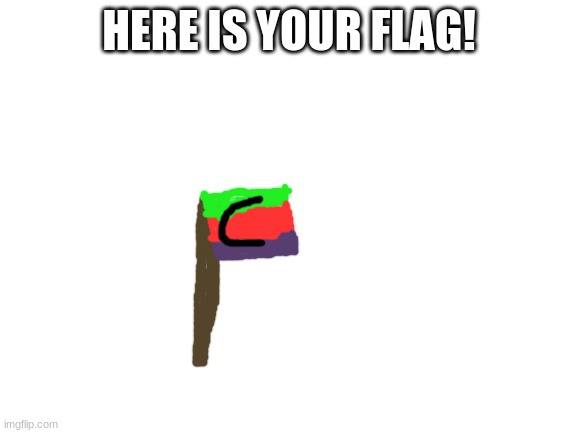 Your Welcome!!!!! :D | HERE IS YOUR FLAG! | image tagged in blank white template | made w/ Imgflip meme maker