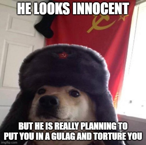 Russian Doge | HE LOOKS INNOCENT; BUT HE IS REALLY PLANNING TO PUT YOU IN A GULAG AND TORTURE YOU | image tagged in russian doge | made w/ Imgflip meme maker