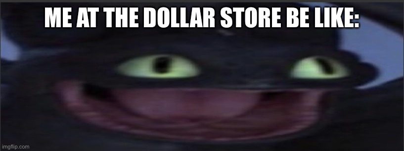 Lol | ME AT THE DOLLAR STORE BE LIKE: | image tagged in smort toothless | made w/ Imgflip meme maker