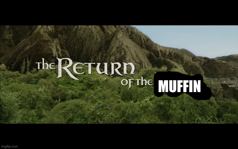 I am back, I missed you all... | MUFFIN | image tagged in return of the muffin,i am back bitches | made w/ Imgflip meme maker