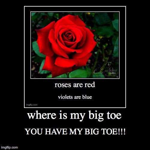 the big toe corpse meme | where is my big toe; YOU HAVE MY BIG TOE!!! | image tagged in demotivational,big,toe,where,scary stories to tell in the dark,memes | made w/ Imgflip meme maker