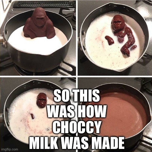 chocolate boi | SO THIS WAS HOW CHOCCY MILK WAS MADE | image tagged in chocolate gorilla,choccy milk | made w/ Imgflip meme maker