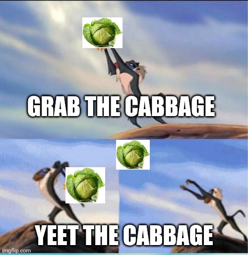 lion being yeeted | GRAB THE CABBAGE YEET THE CABBAGE | image tagged in lion being yeeted | made w/ Imgflip meme maker