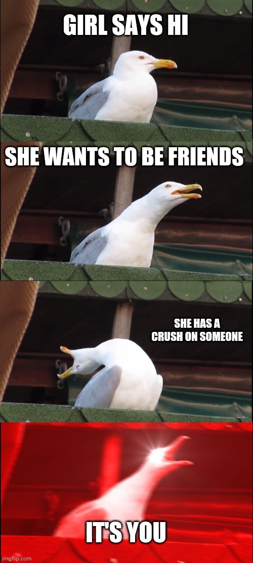 Inhaling Seagull Meme | GIRL SAYS HI; SHE WANTS TO BE FRIENDS; SHE HAS A CRUSH ON SOMEONE; IT'S YOU | image tagged in memes,inhaling seagull | made w/ Imgflip meme maker