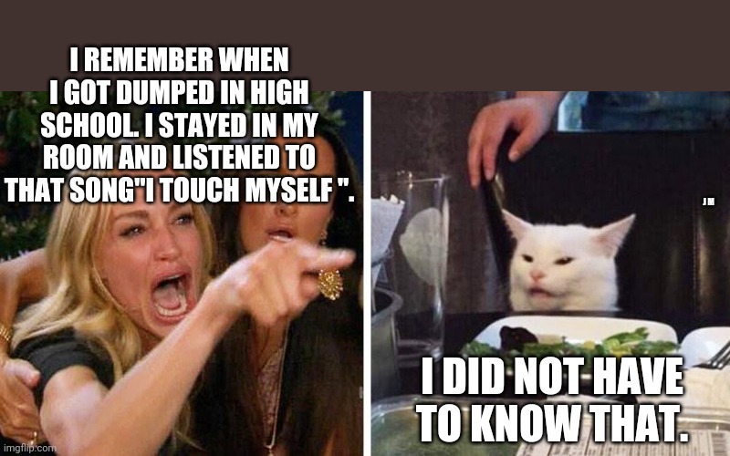 Smudge the cat | I REMEMBER WHEN I GOT DUMPED IN HIGH SCHOOL. I STAYED IN MY ROOM AND LISTENED TO THAT SONG"I TOUCH MYSELF ". J M; I DID NOT HAVE TO KNOW THAT. | image tagged in smudge the cat | made w/ Imgflip meme maker