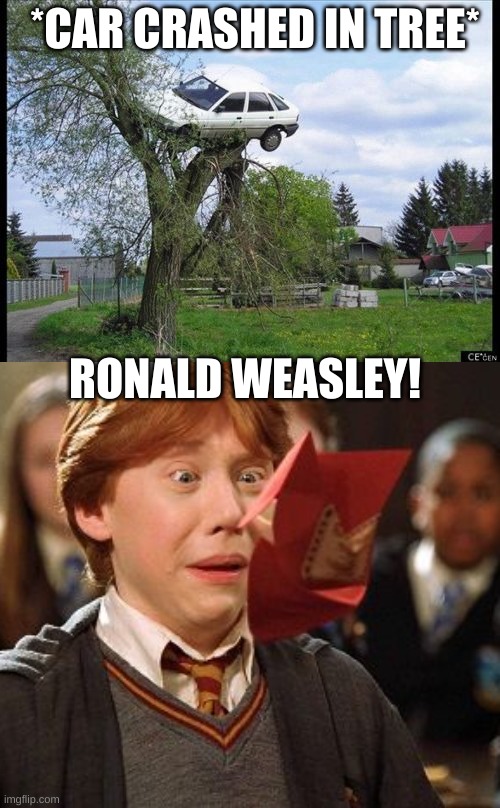 oooof | *CAR CRASHED IN TREE*; RONALD WEASLEY! | image tagged in memes,secure parking,ron weasley howler | made w/ Imgflip meme maker