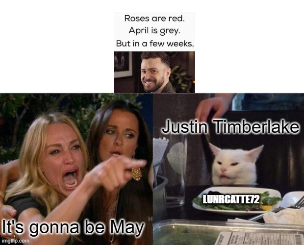May | Justin Timberlake; LUNRCATTE72; It's gonna be May | image tagged in memes,woman yelling at cat | made w/ Imgflip meme maker