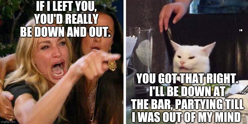 Smudge the cat | IF I LEFT YOU, YOU'D REALLY BE DOWN AND OUT. J M; YOU GOT THAT RIGHT. I'LL BE DOWN AT THE BAR, PARTYING TILL I WAS OUT OF MY MIND | image tagged in smudge the cat | made w/ Imgflip meme maker