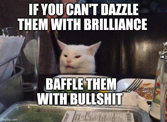 Salad cat | IF YOU CAN'T DAZZLE THEM WITH BRILLIANCE; J M; BAFFLE THEM WITH BULLSHIT | image tagged in salad cat | made w/ Imgflip meme maker