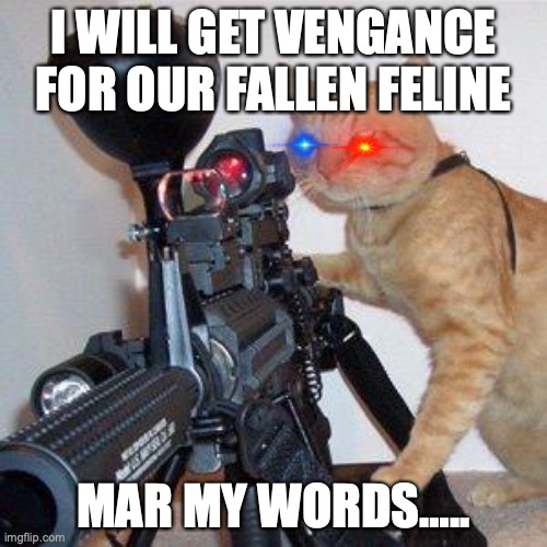 xcv | I WILL GET VENGANCE FOR OUR FALLEN FELINE; MAR MY WORDS….. | image tagged in cat with gun | made w/ Imgflip meme maker