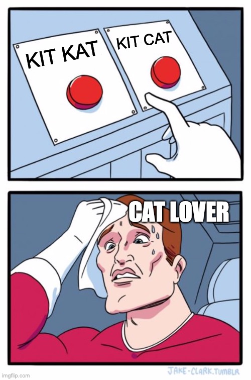 KIT KAT KIT CAT CAT LOVER | image tagged in memes,two buttons | made w/ Imgflip meme maker