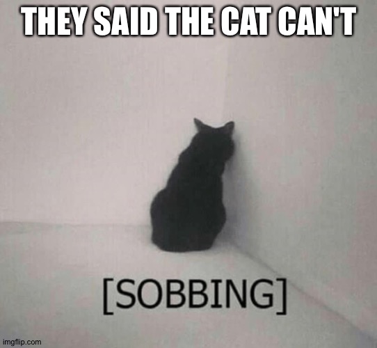 Sobbing cat | THEY SAID THE CAT CAN'T | image tagged in sobbing cat | made w/ Imgflip meme maker