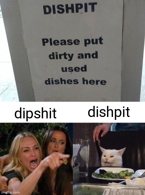 DISHPIT | dishpit; dipshit | image tagged in memes,woman yelling at cat,funny memes | made w/ Imgflip meme maker