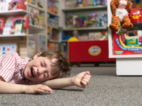Temper Tantrums | image tagged in temper tantrums | made w/ Imgflip meme maker
