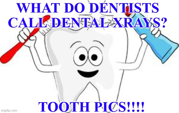 tooth | WHAT DO DENTISTS CALL DENTAL XRAYS? TOOTH PICS!!!! | image tagged in tooth | made w/ Imgflip meme maker