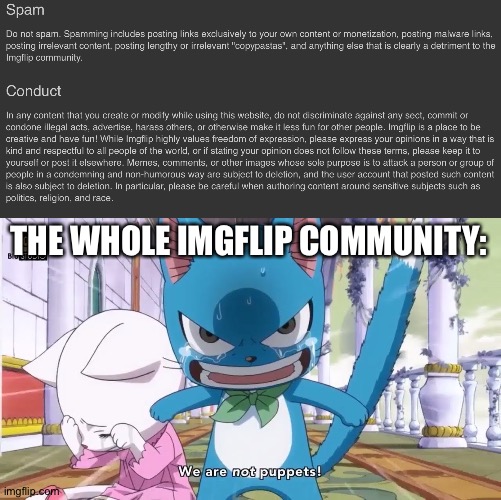 @imgflip the Terms exists but imgflip users ignore it, is there a way to make them follow the rules? | THE WHOLE IMGFLIP COMMUNITY: | image tagged in we are not puppets,terms of service,terms of use,imgflip | made w/ Imgflip meme maker