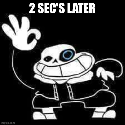 SANS UNDERPANTS | 2 SEC'S LATER | image tagged in sans underpants | made w/ Imgflip meme maker