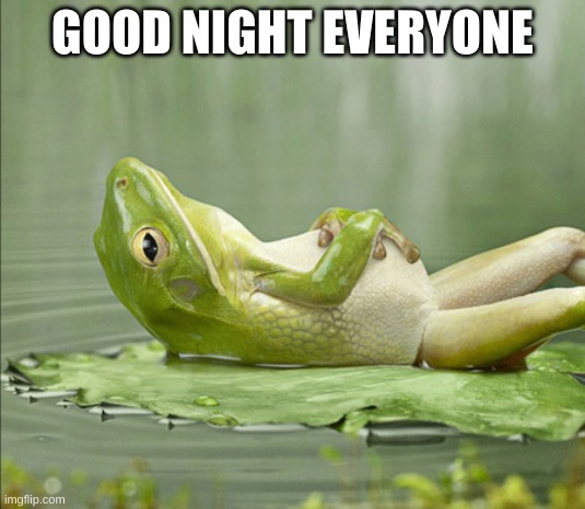 E | GOOD NIGHT EVERYONE | image tagged in eeee,eeeeeee | made w/ Imgflip meme maker