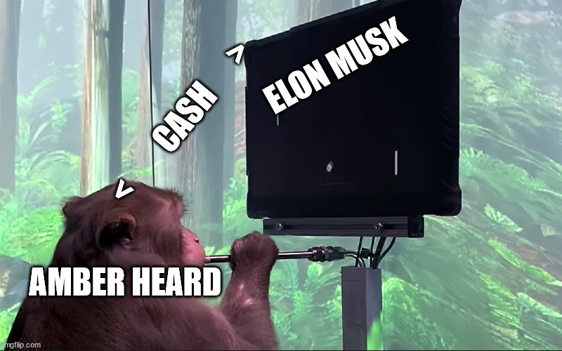 When Musk First Thought of the Idea | ELON MUSK; <        CASH      >; AMBER HEARD | image tagged in elon musk | made w/ Imgflip meme maker