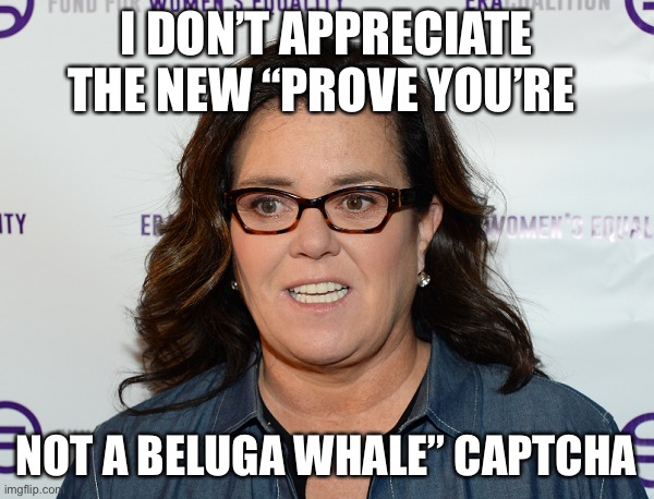 Rosie O’Donnell | I DON’T APPRECIATE THE NEW “PROVE YOU’RE; NOT A BELUGA WHALE” CAPTCHA | image tagged in rosie o donnell | made w/ Imgflip meme maker