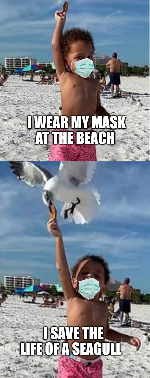 Save lives | I WEAR MY MASK AT THE BEACH; I SAVE THE LIFE OF A SEAGULL | image tagged in mask,beach,covid | made w/ Imgflip meme maker