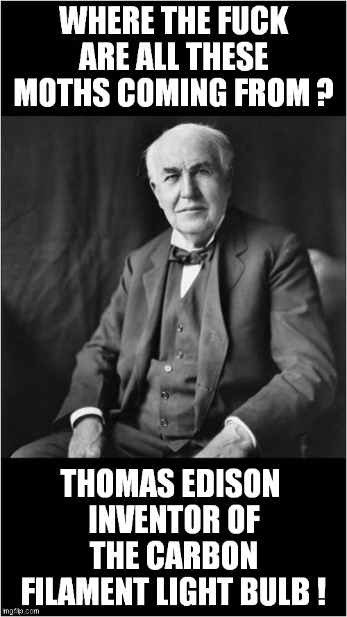 Genius ? | WHERE THE FUCK ARE ALL THESE MOTHS COMING FROM ? THOMAS EDISON 
INVENTOR OF THE CARBON FILAMENT LIGHT BULB ! | image tagged in moths,light bulb,edison | made w/ Imgflip meme maker