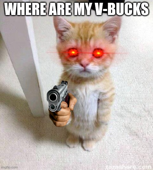 Cute Cat | WHERE ARE MY V-BUCKS | image tagged in memes,cute cat | made w/ Imgflip meme maker