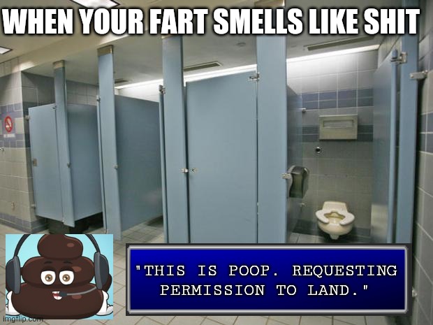MISSION IS A GO! MOVE MOVE MOVE! | WHEN YOUR FART SMELLS LIKE SHIT; "THIS IS POOP. REQUESTING PERMISSION TO LAND." | image tagged in bathroom stall,farts,smell,turtle,head | made w/ Imgflip meme maker