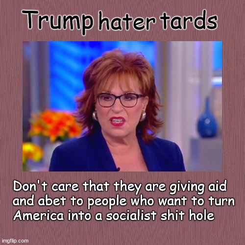 Trumphatertards everywhere | Trump; tards; hater; Don't care that they are giving aid
and abet to people who want to turn
America into a socialist shit hole | image tagged in trumphater,trump,behar,socialism | made w/ Imgflip meme maker
