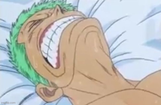Zoro in Pain | image tagged in zoro in pain | made w/ Imgflip meme maker