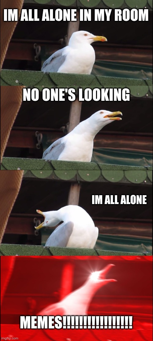 Inhaling Seagull Meme | IM ALL ALONE IN MY ROOM; NO ONE'S LOOKING; IM ALL ALONE; MEMES!!!!!!!!!!!!!!!!! | image tagged in memes,inhaling seagull | made w/ Imgflip meme maker