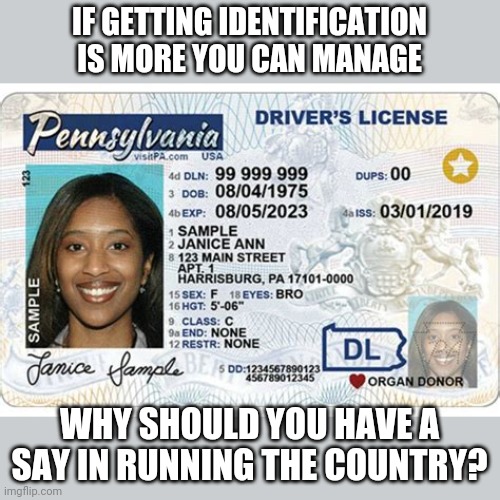 Having a minimum standard is not racist or elitist | IF GETTING IDENTIFICATION IS MORE YOU CAN MANAGE; WHY SHOULD YOU HAVE A SAY IN RUNNING THE COUNTRY? | image tagged in voter id | made w/ Imgflip meme maker